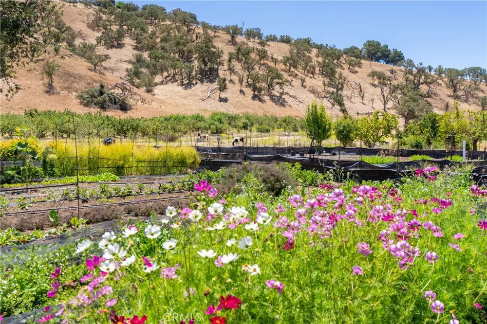 5750 El Pharo Paso Robles, CA 93446