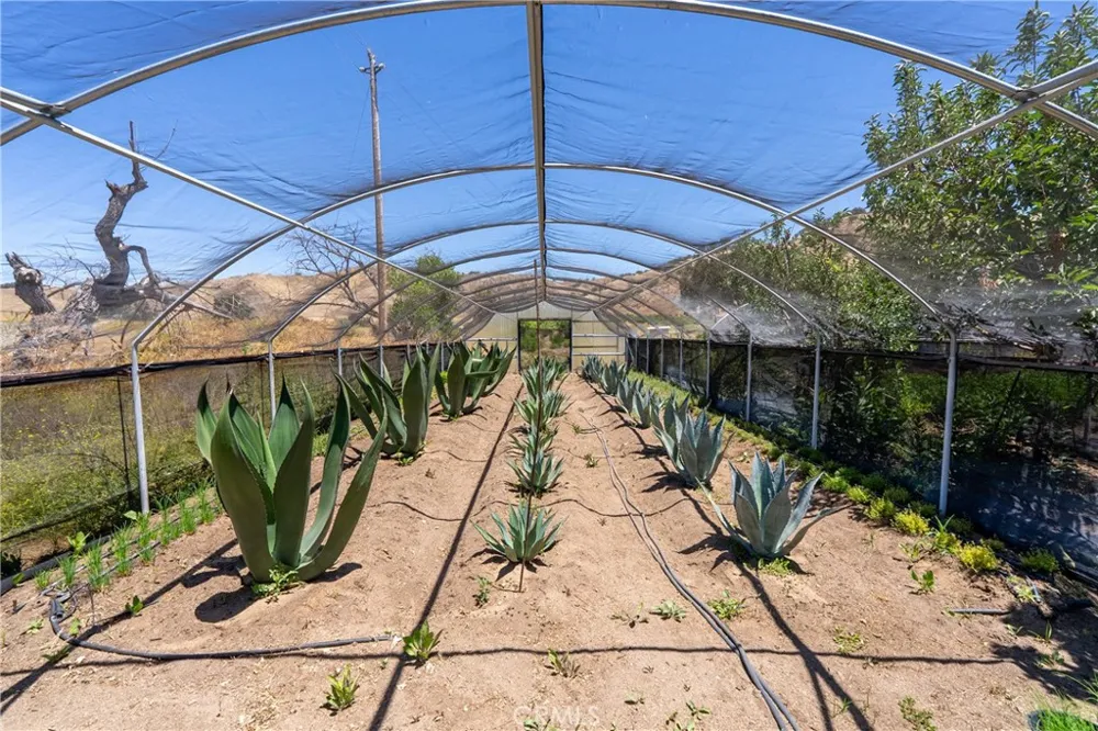 5750 El Pharo Paso Robles, CA 93446
