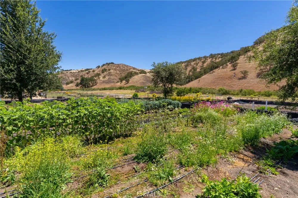 5750 El Pharo Paso Robles, CA 93446