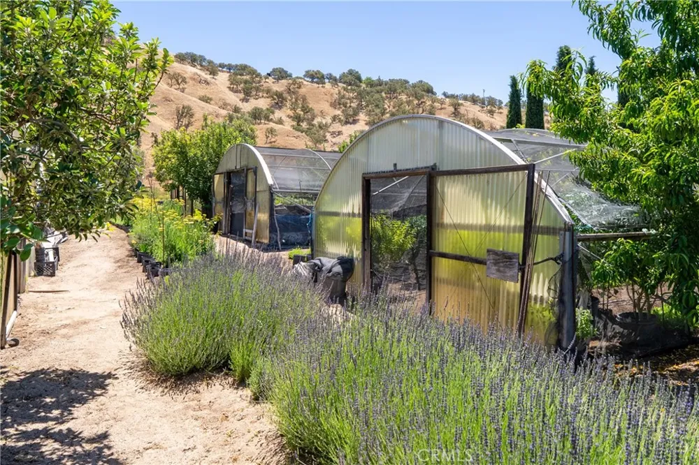 5750 El Pharo Paso Robles, CA 93446