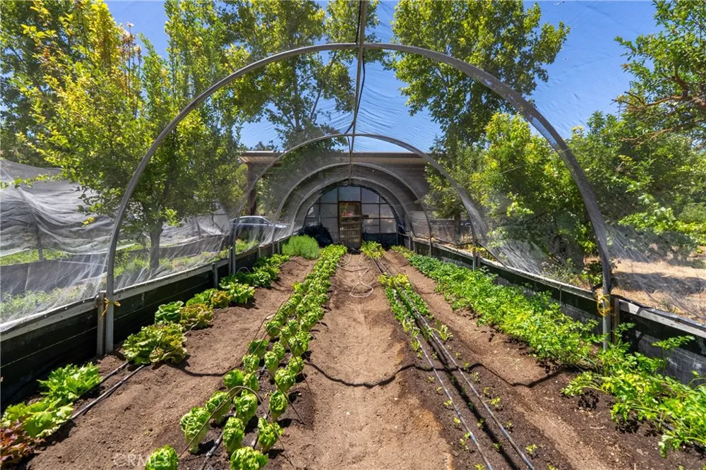 5750 El Pharo Paso Robles, CA 93446