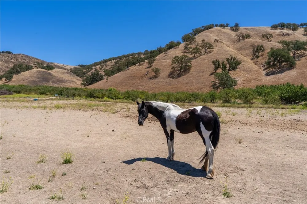 5750 El Pharo Paso Robles, CA 93446