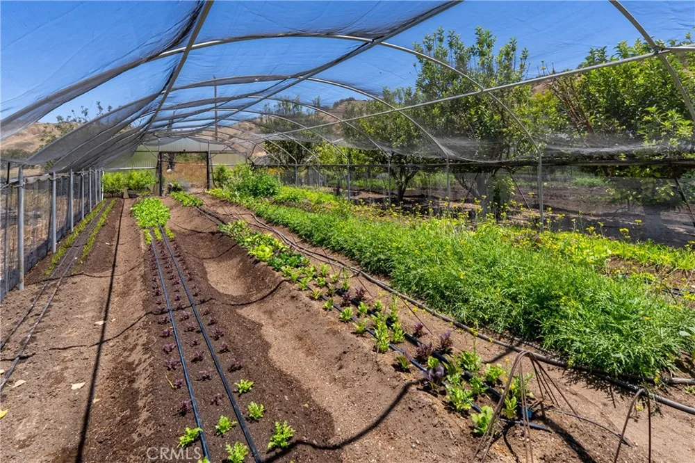 5750 El Pharo Paso Robles, CA 93446