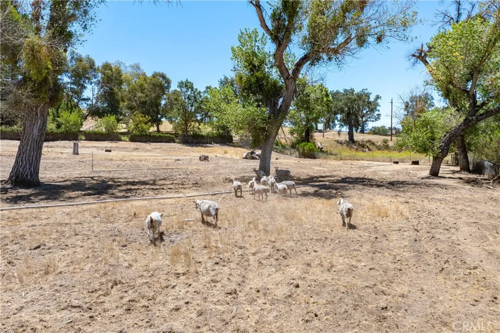 5750 El Pharo Paso Robles, CA 93446