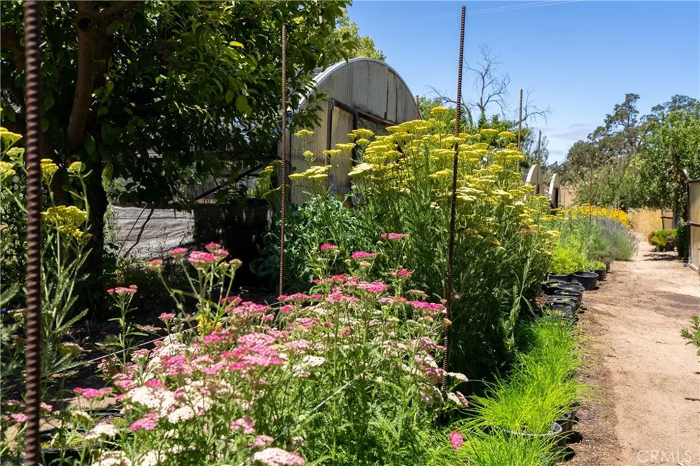 5750 El Pharo Paso Robles, CA 93446