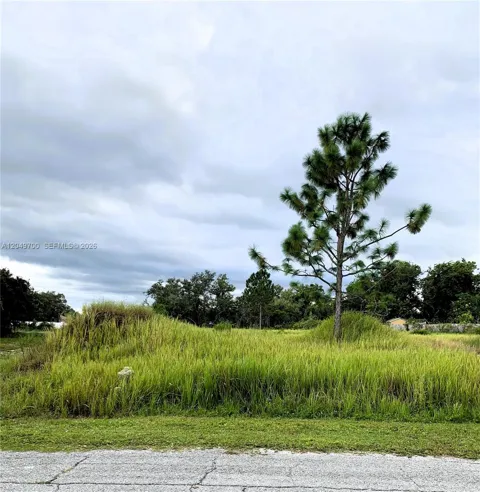 531 St Johns Ct, Kissimmee, FL 34759