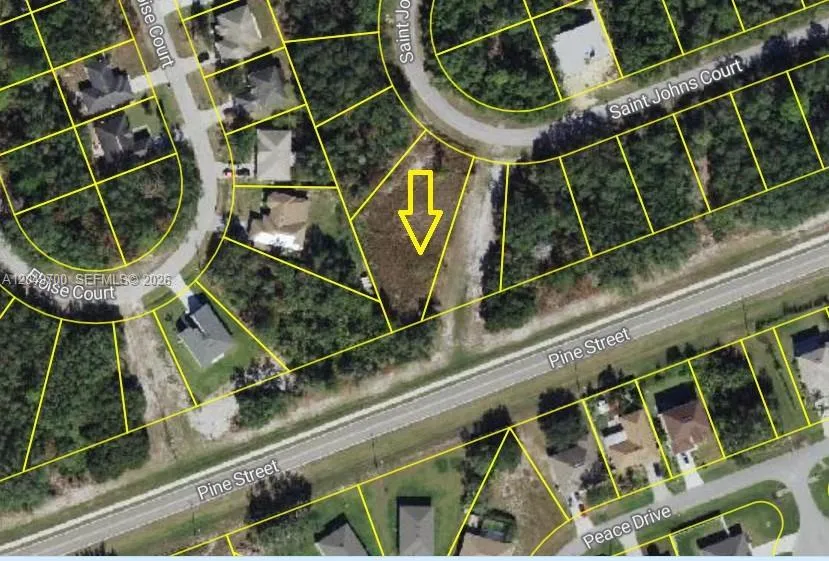 531 St Johns Ct, Kissimmee, FL 34759 Poinciana, FL 34759