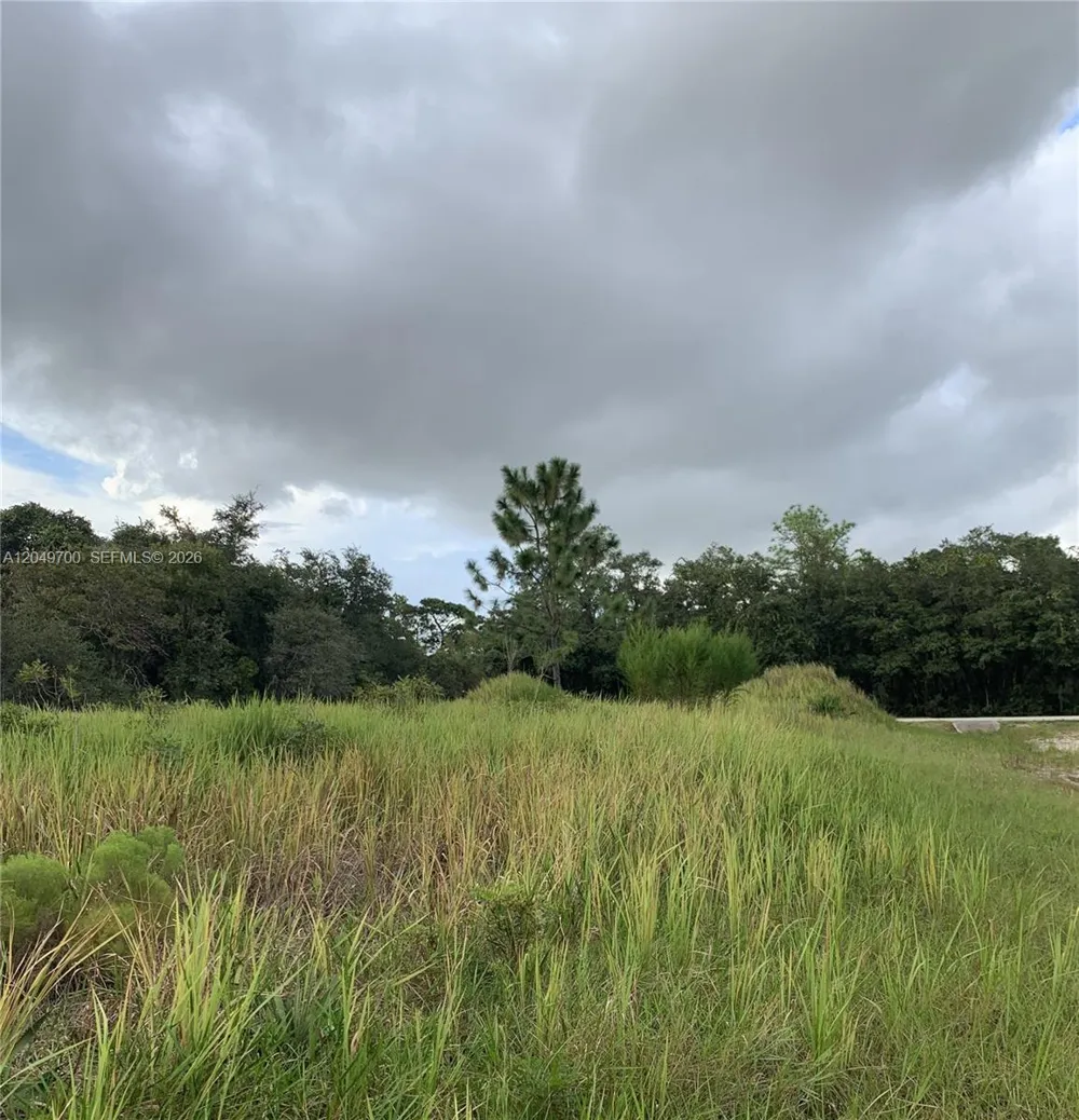 531 St Johns Ct, Kissimmee, FL 34759 Poinciana, FL 34759