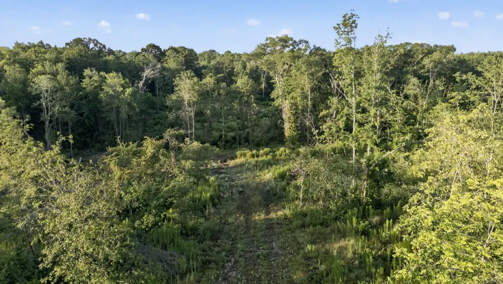 CR 3116 Winona, TX 75792
