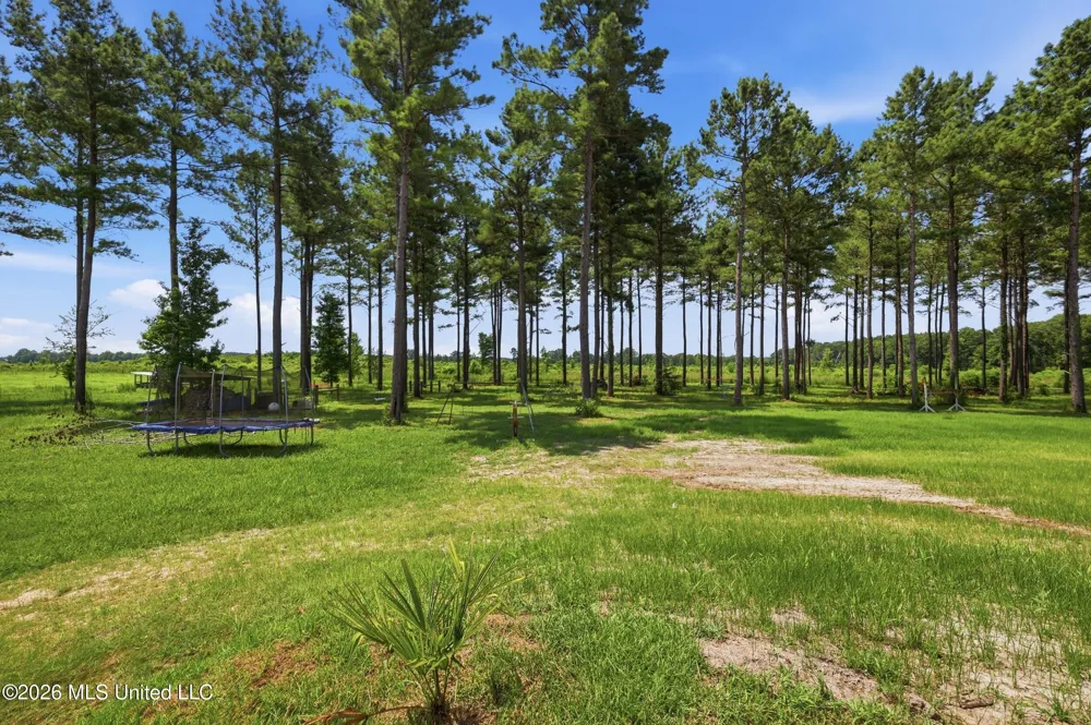 646 Myrick Strengthford Road Laurel, MS 39443