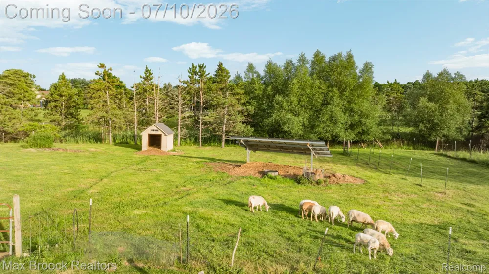 3054 Emery Lane Hadley Township, MI 48455