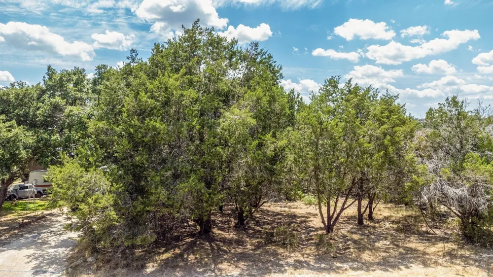 1103 Timberlane Canyon Lake, TX 78133