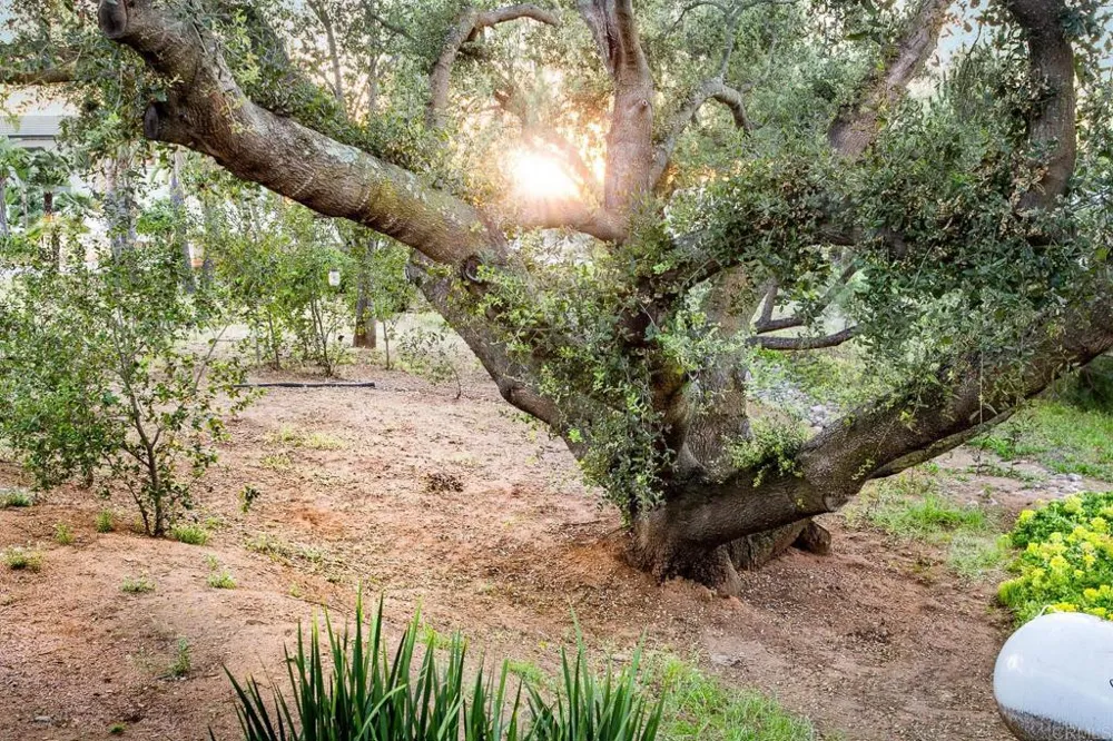 30349 Cool Valley Lane Valley Center, CA 92082