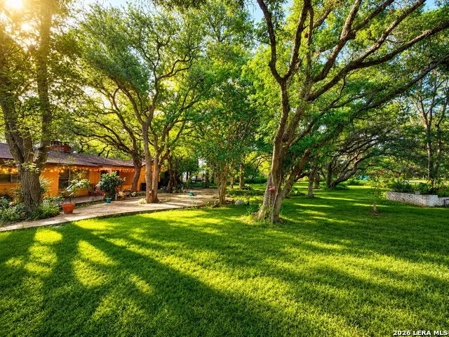 117 WAGON TRAIL RD Shavano Park, TX 78231