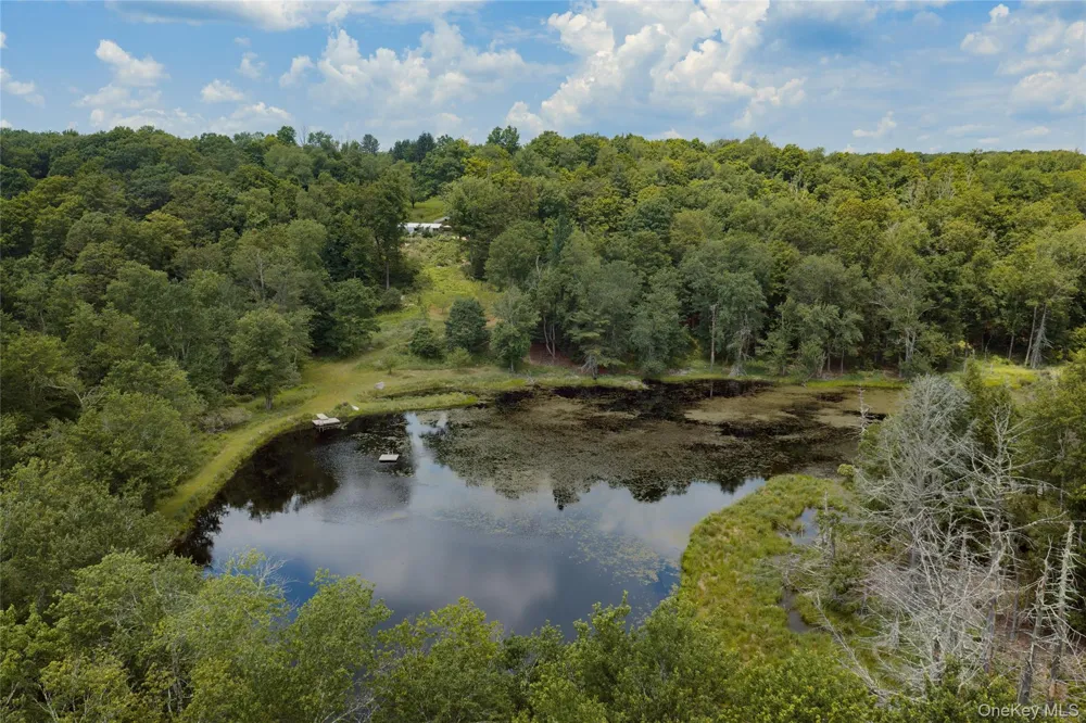 689 Church Road Mountain Dale, NY 12763