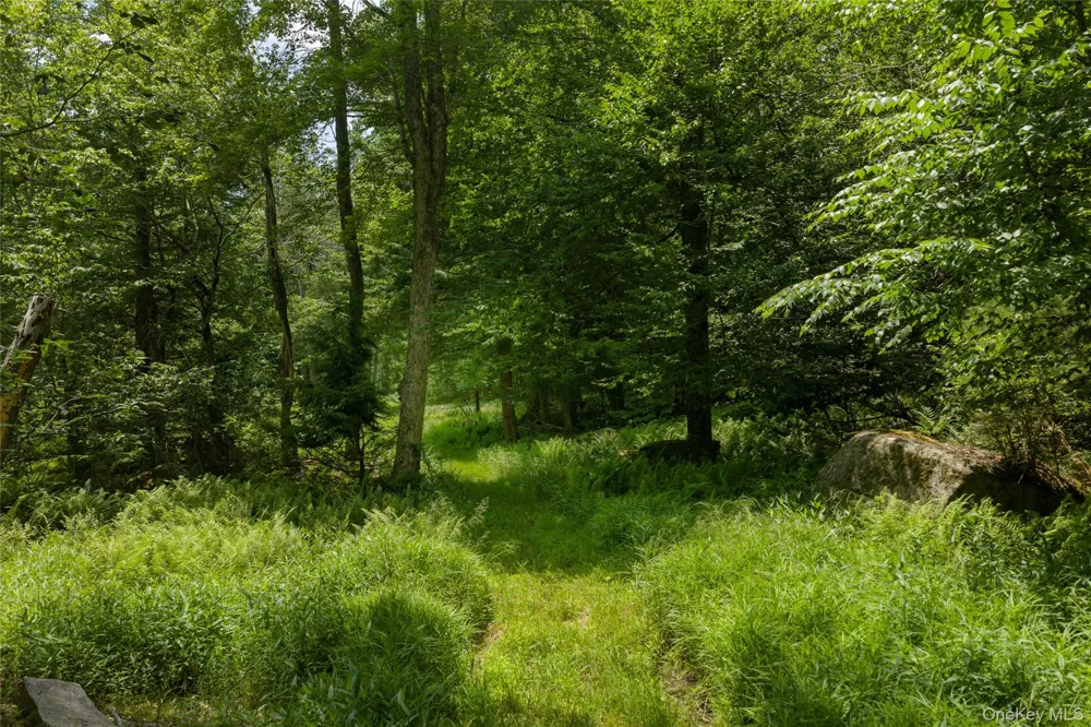689 Church Road Mountain Dale, NY 12763