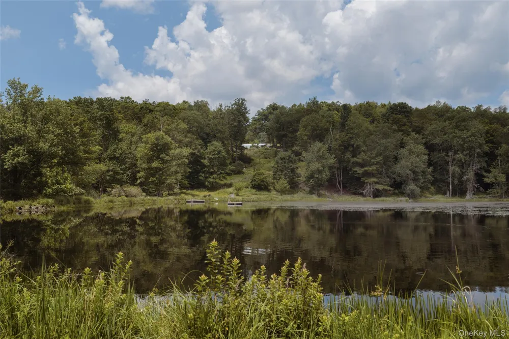 689 Church Road Mountain Dale, NY 12763