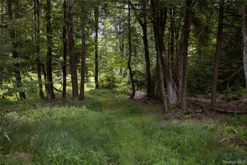 689 Church Road Mountain Dale, NY 12763