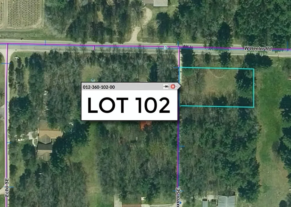Taxiway Foxtrot Reeder Township, MI 49651