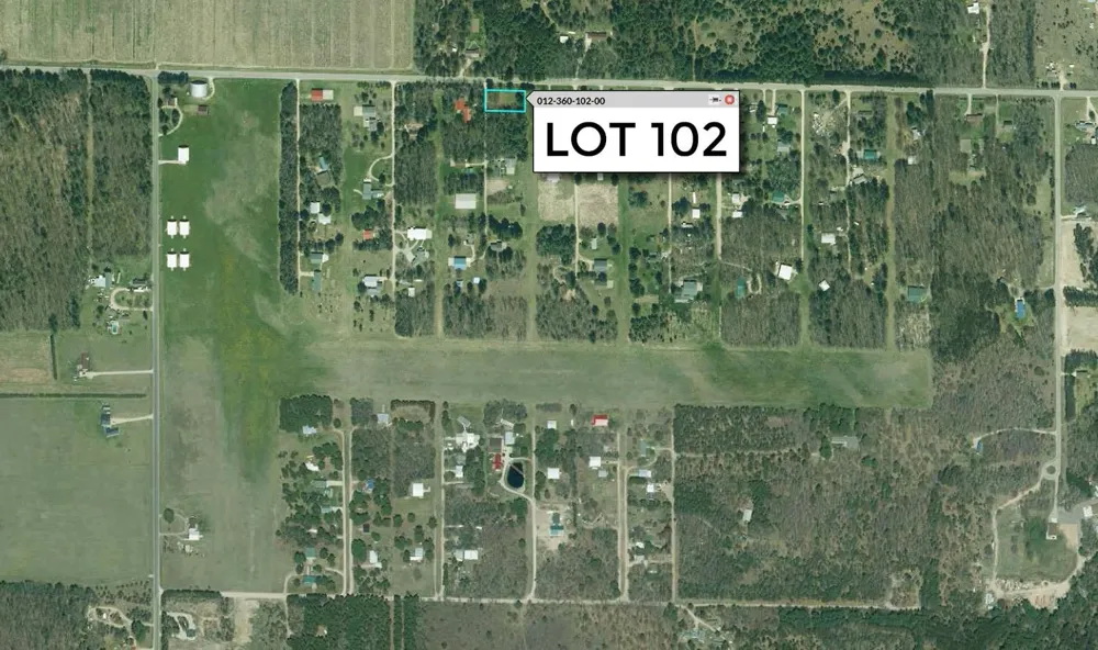 Taxiway Foxtrot Reeder Township, MI 49651