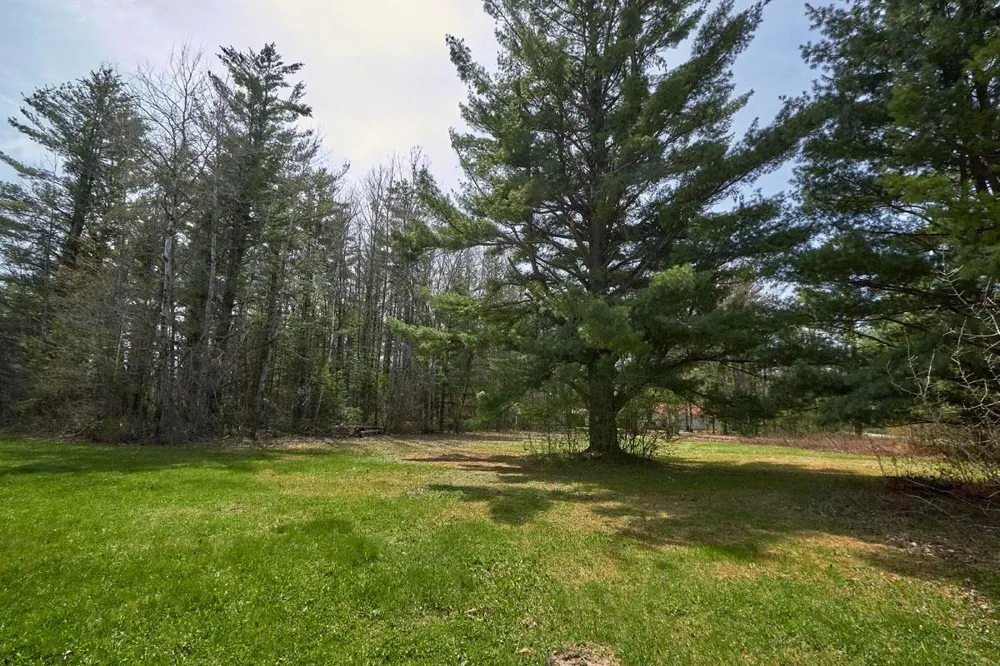 Taxiway Foxtrot Reeder Township, MI 49651