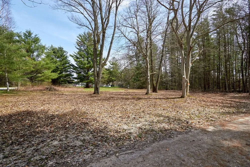 Taxiway Foxtrot Reeder Township, MI 49651