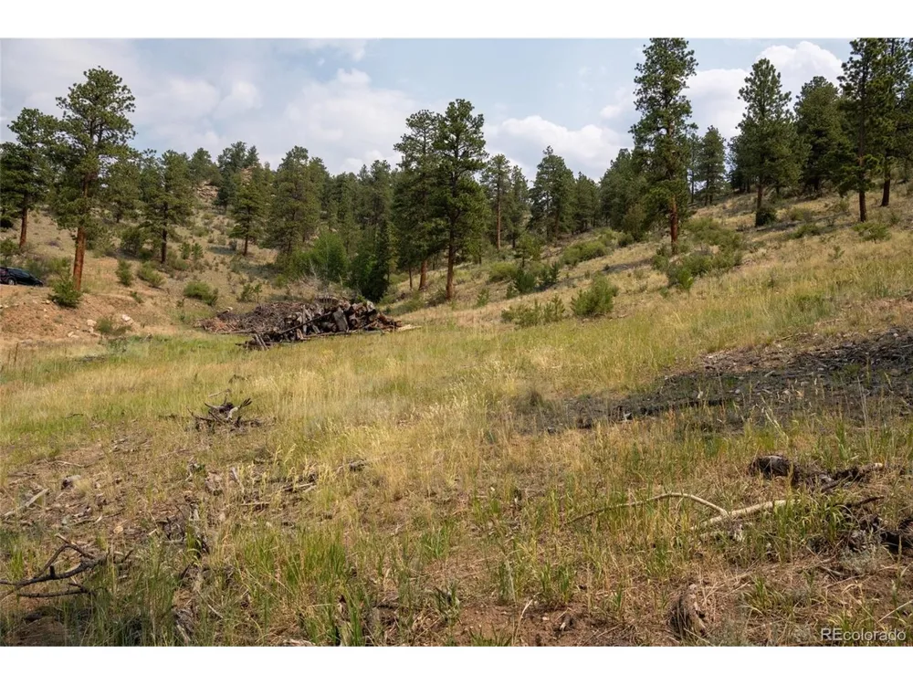 13990 Pine Valley Road Pine, CO 80470