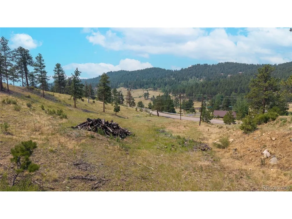 13990 Pine Valley Road Pine, CO 80470