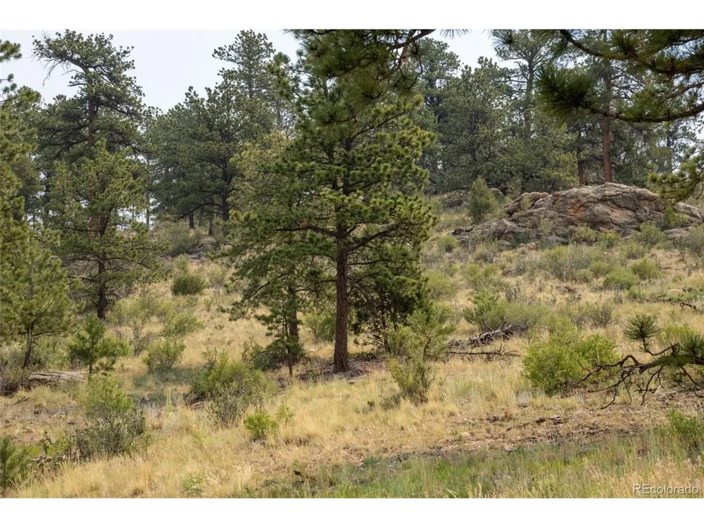13990 Pine Valley Road Pine, CO 80470