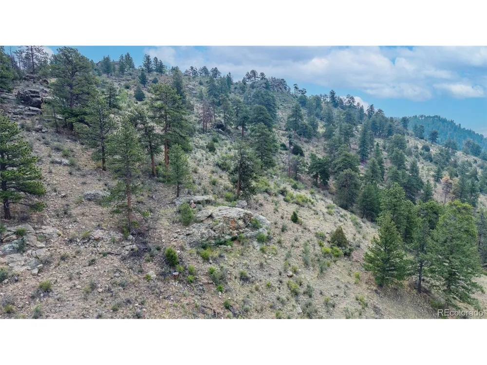13990 Pine Valley Road Pine, CO 80470
