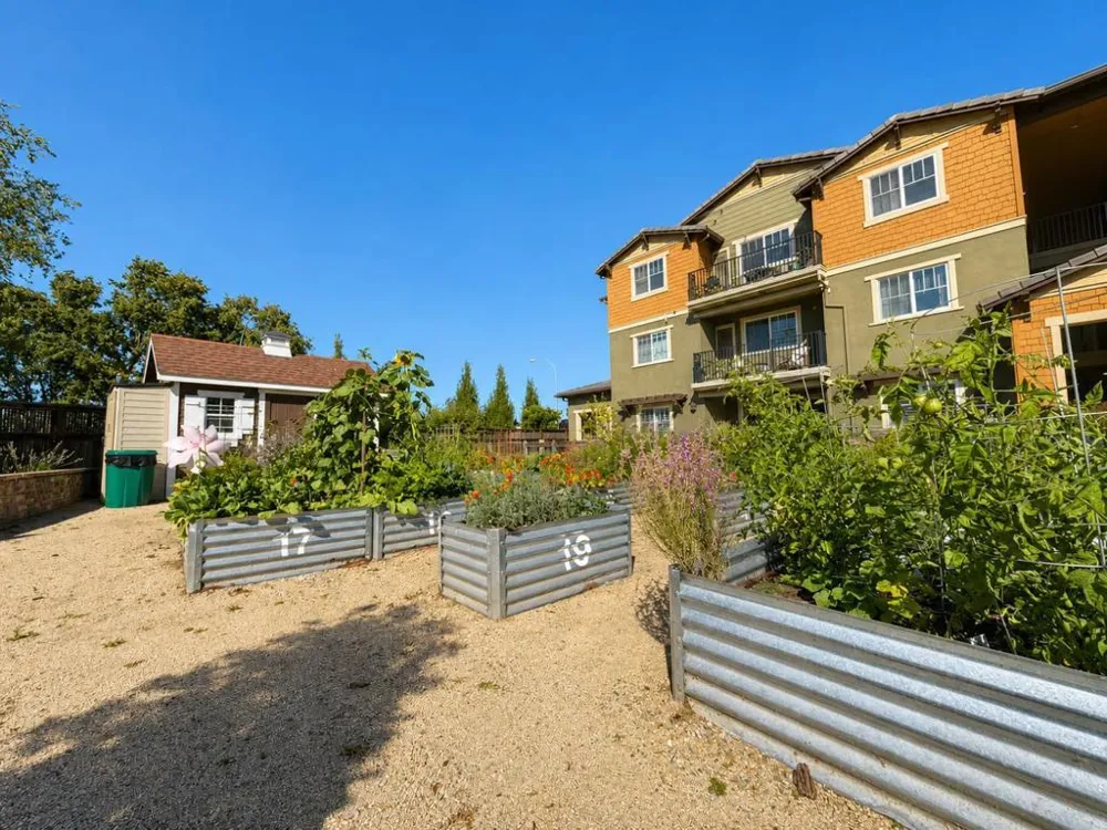 1408 Mauro Pietro Drive #202 Petaluma, CA 94954