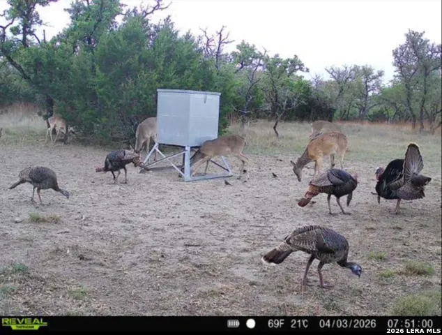 TBD Brecken Ranch Rd Fredericksburg, TX 78671