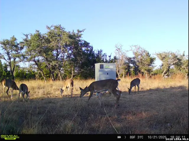 TBD Brecken Ranch Rd Fredericksburg, TX 78671