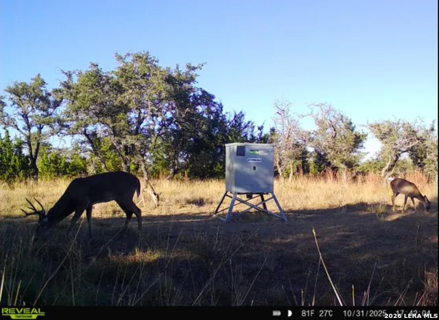 TBD Brecken Ranch Rd Fredericksburg, TX 78671