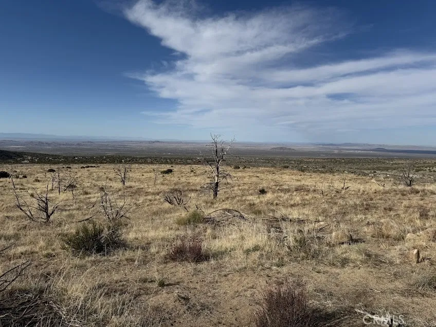 200 Llano, CA 93544