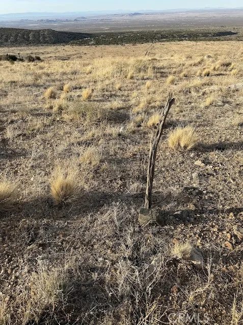 200 Llano, CA 93544