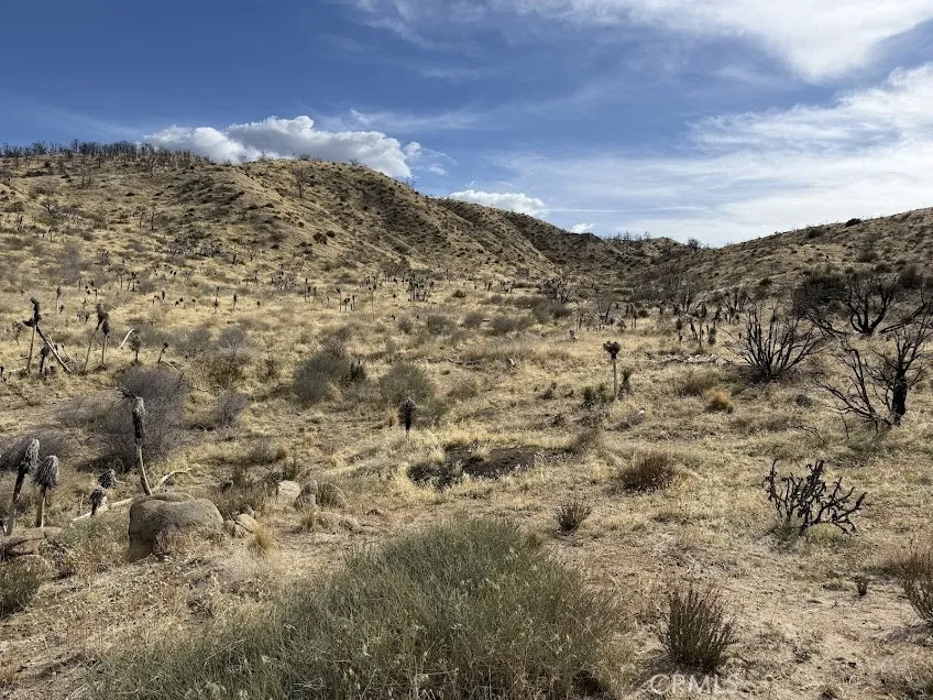 200 Llano, CA 93544