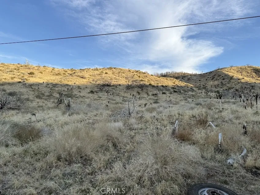 200 Llano, CA 93544
