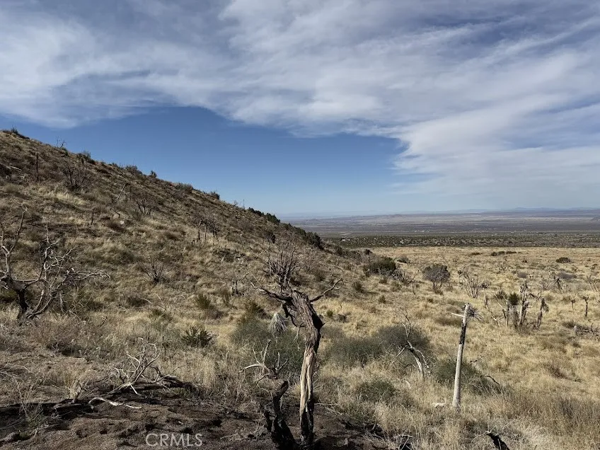 200 Llano, CA 93544