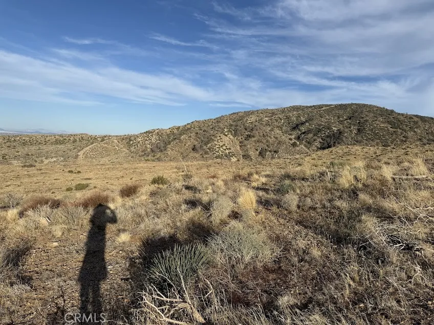 200 Llano, CA 93544