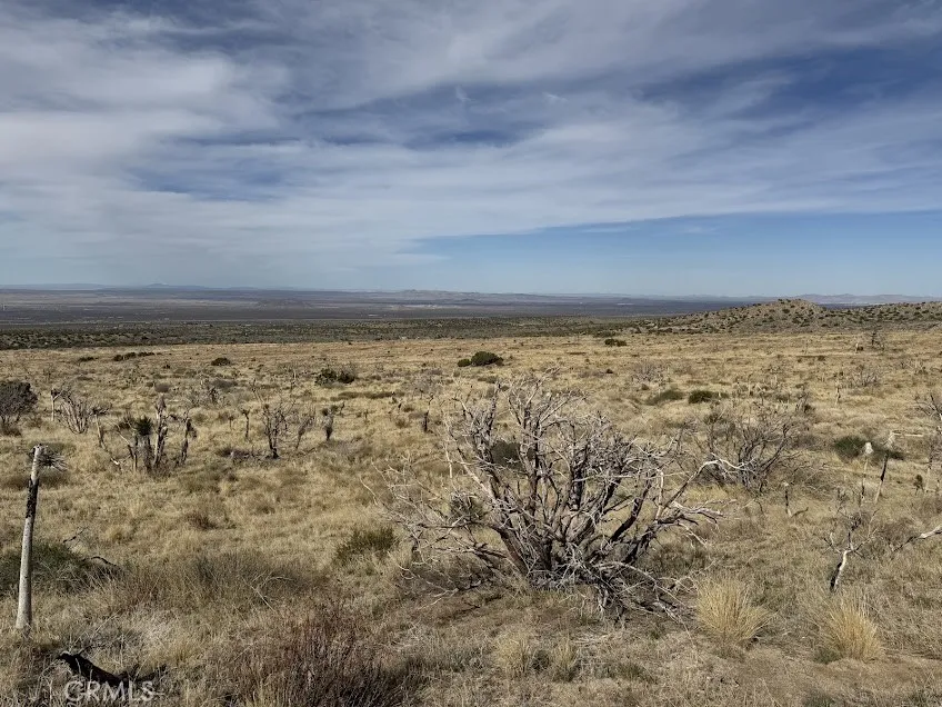200 Llano, CA 93544
