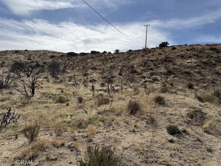 200 Llano, CA 93544
