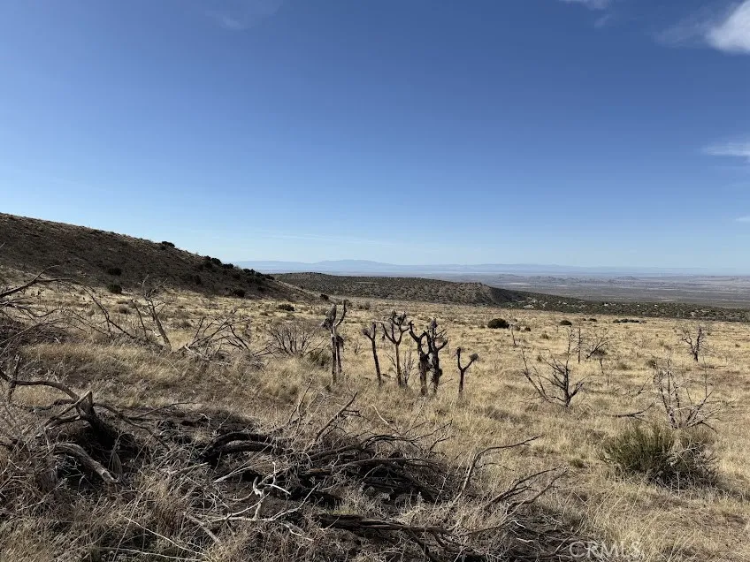 200 Llano, CA 93544