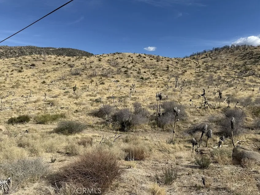 200 Llano, CA 93544