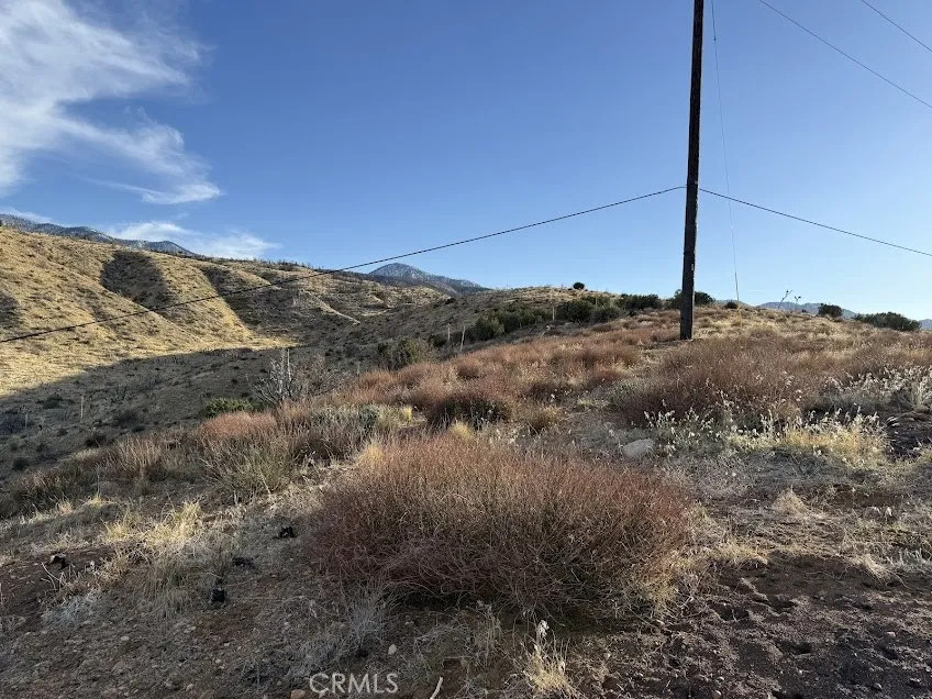 200 Llano, CA 93544