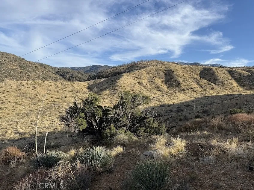 200 Llano, CA 93544