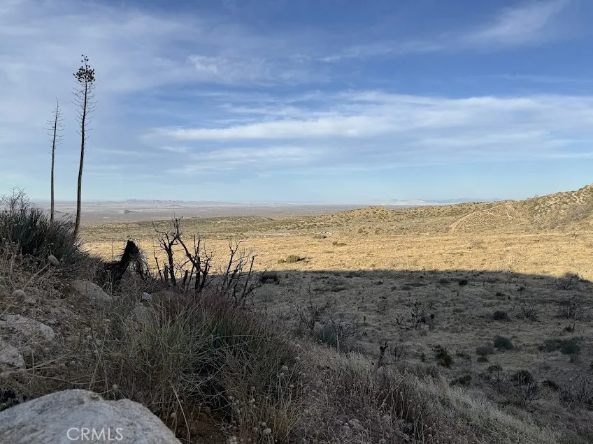 200 Llano, CA 93544