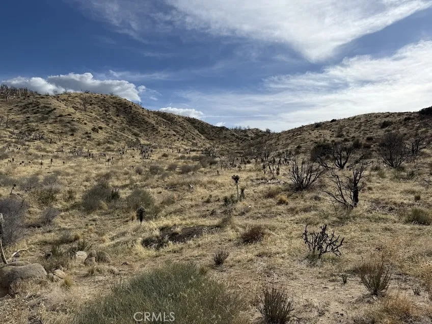 200 Llano, CA 93544
