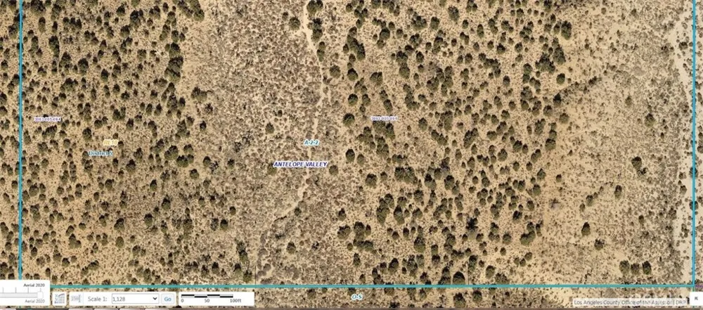 200 Llano, CA 93544