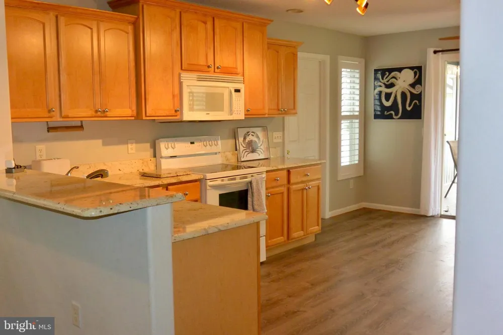 33718 CHATHAM WAY Frankford, DE 19945